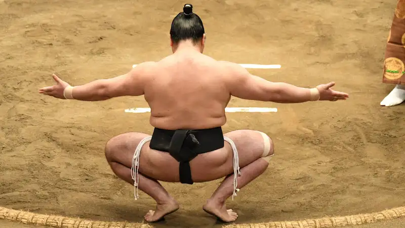 gc_reviews-betting-sumo_トップ